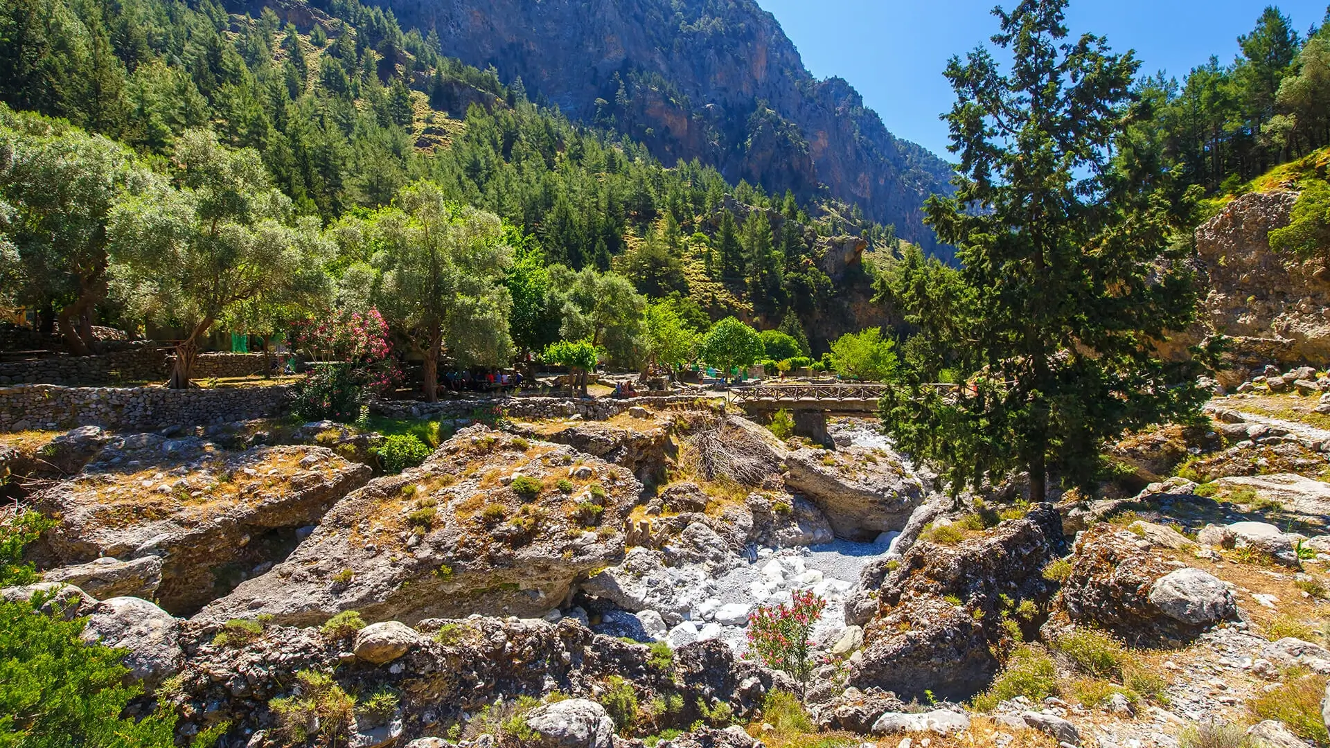 Samaria-2-webp
